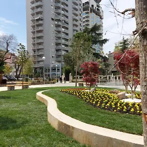 Mulaj Tirana